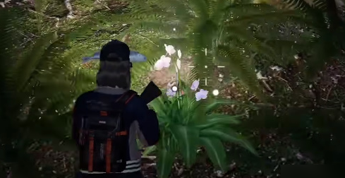 黎明觉醒鲜花食材怎么获得-黎明觉醒鲜花在哪采集地点一览