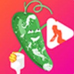 51大豆行情网www仙踪林免费版