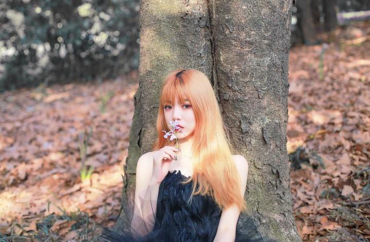 技术问题隐喻的形象化
